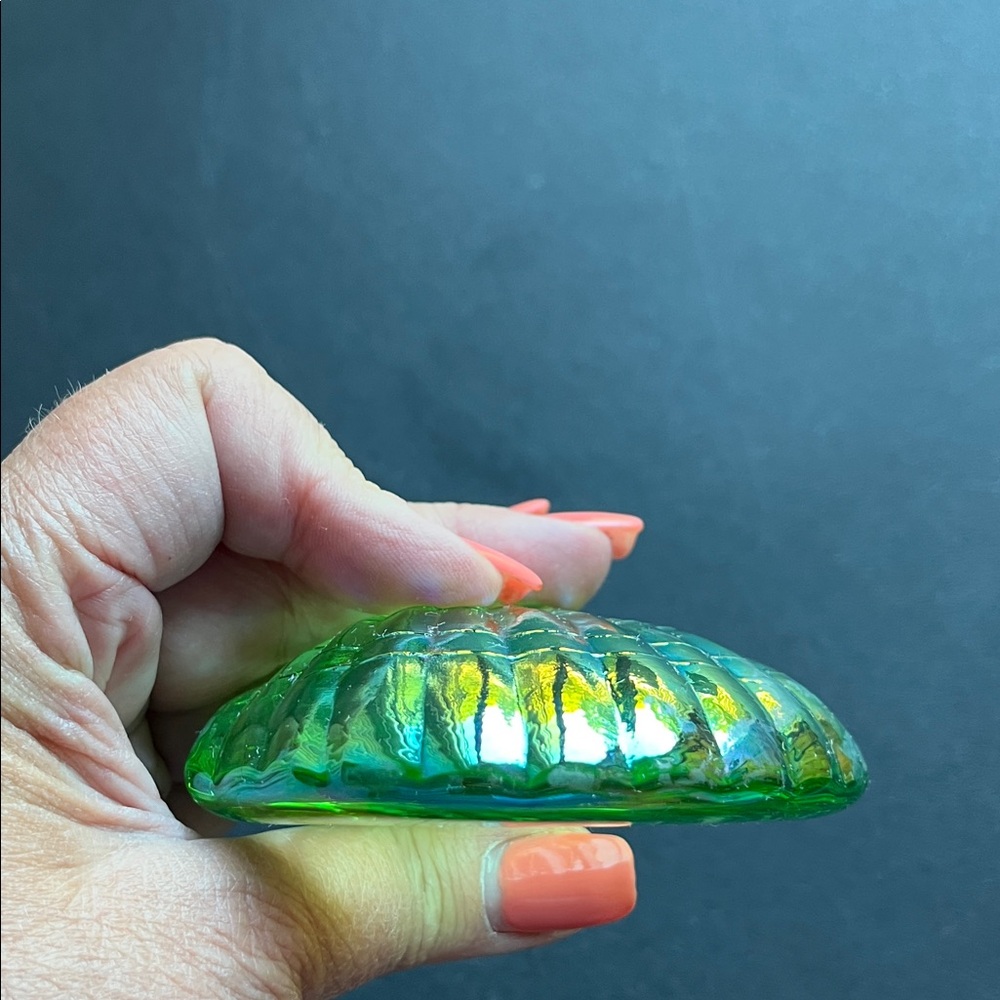 Iridescent Shell-Shaped Paperweight Decor - Picture 4 of 8